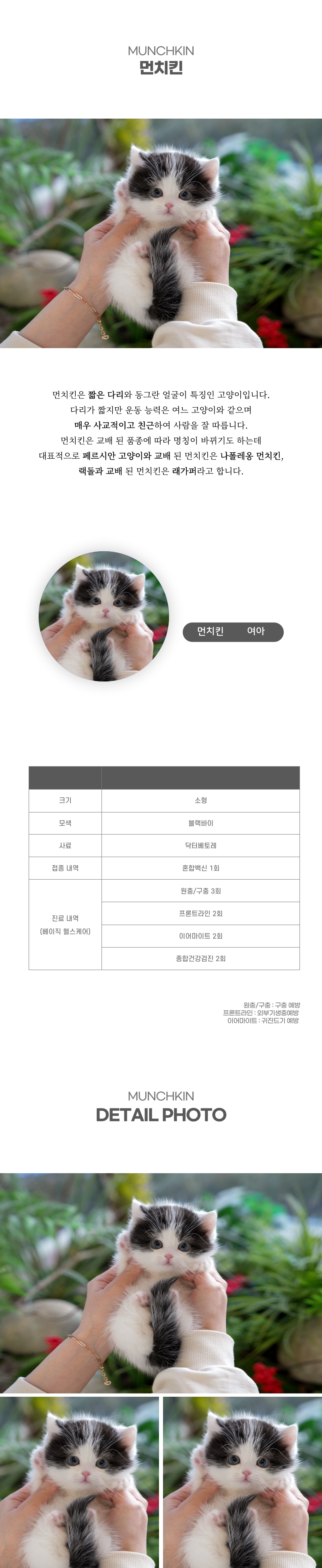 먼치킨_상세이미지_2